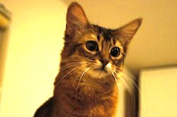 �t�@�~���[�T