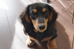 �t�@�~���[�V