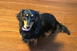 �t�@�~���[�W